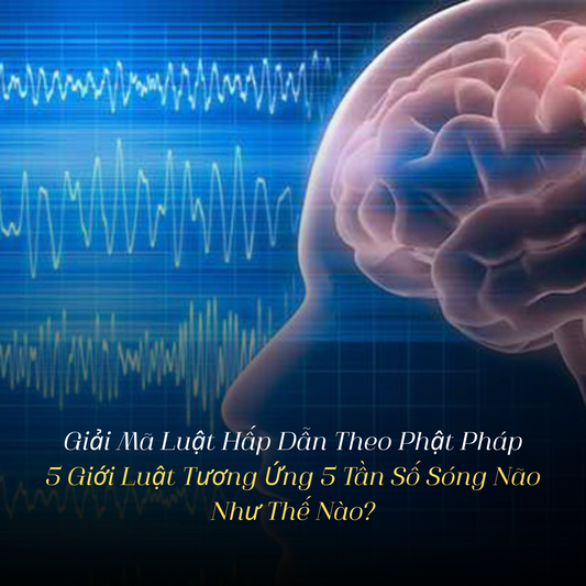 Giải Mã Luật Hấp Dẫn Theo Phật Pháp: 5 Giới Luật Tương Ứng 5 Tần Số Sóng Não Như Thế Nào?