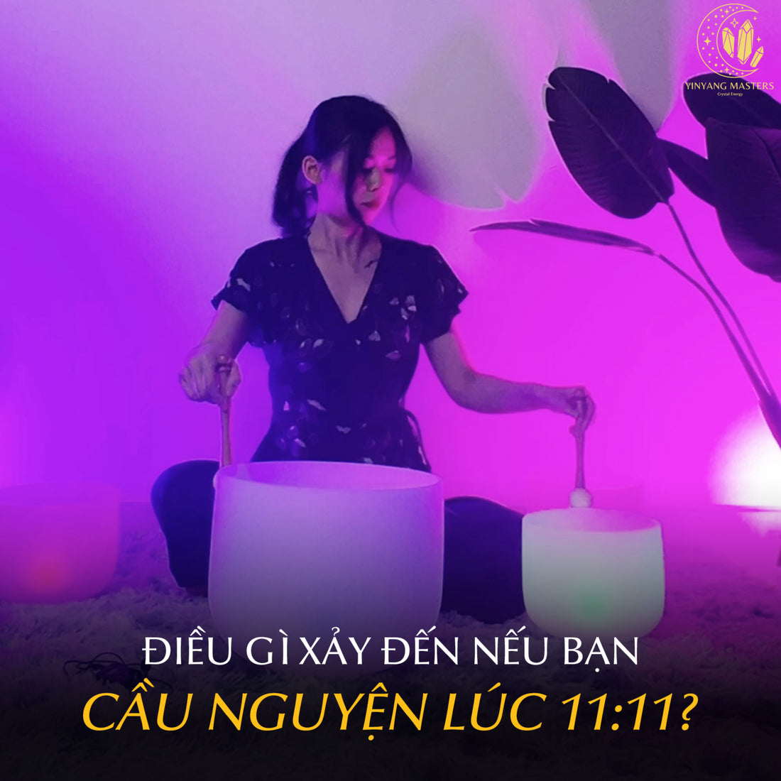 Jennie uyen chu yinyang masters đá thạch anh năng lượng luật hấp dẫn