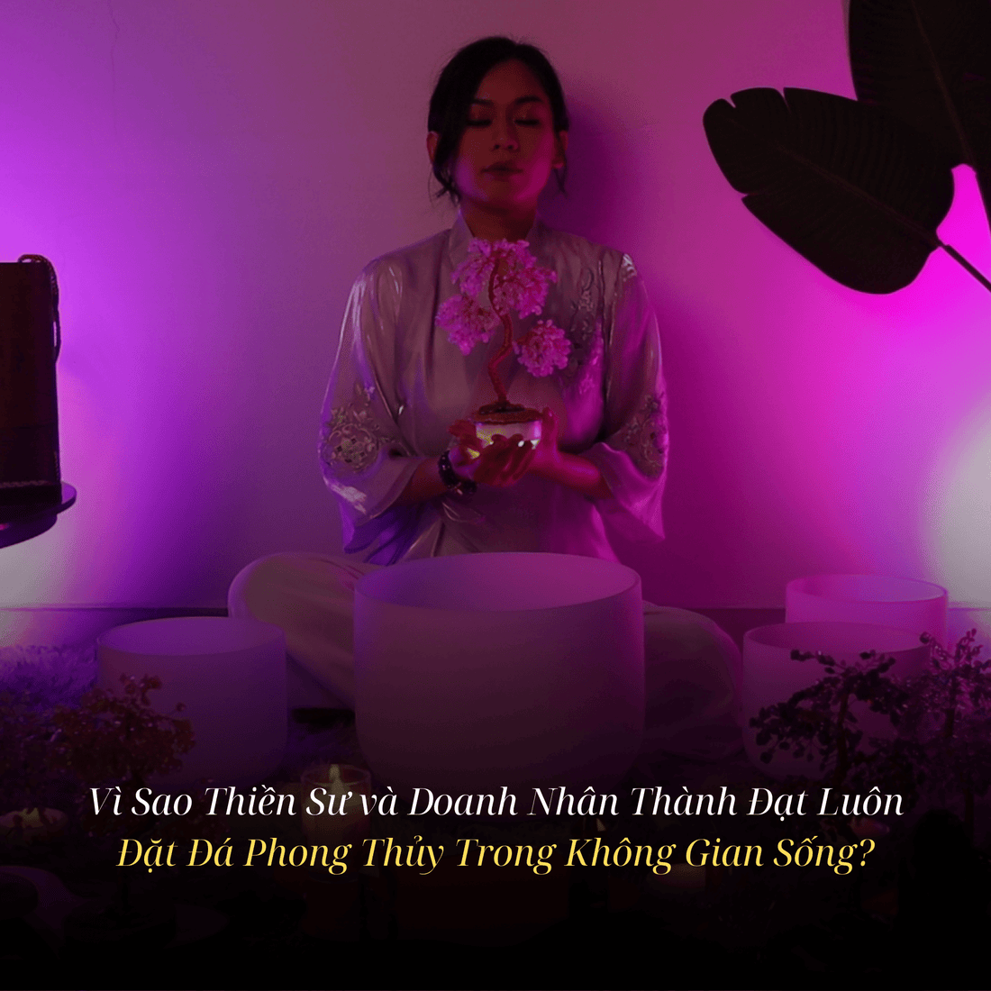 Vì Sao Thiền Sư và Doanh Nhân Thành Đạt Luôn Đặt Đá Phong Thủy Trong Không Gian Sống?
