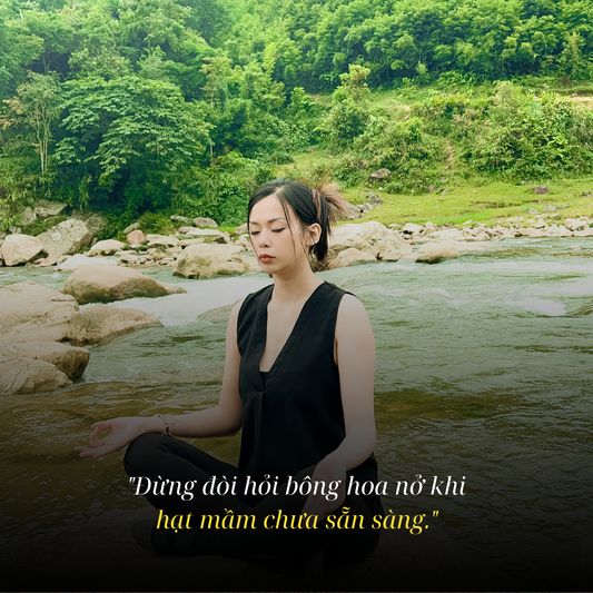 Đừng Đòi Hỏi Bông Hoa Nở Khi Hạt Mầm Chưa Sẵn Sàng