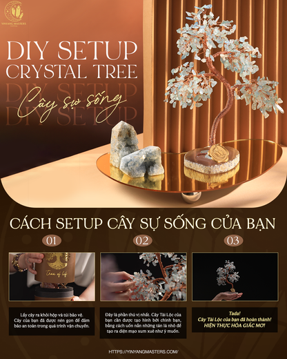 Như Ý Lệnh - Cây Tình Ái